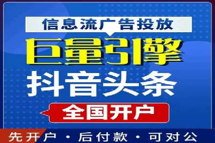 抖音信息流代理在电商行业的应用案例分析